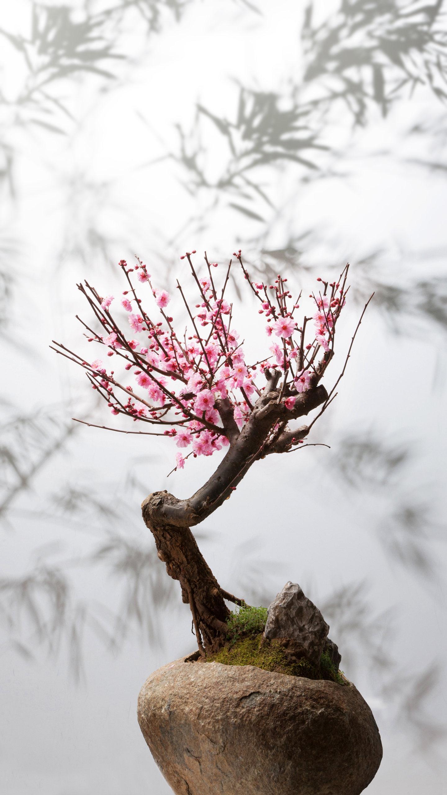 上海家教老师