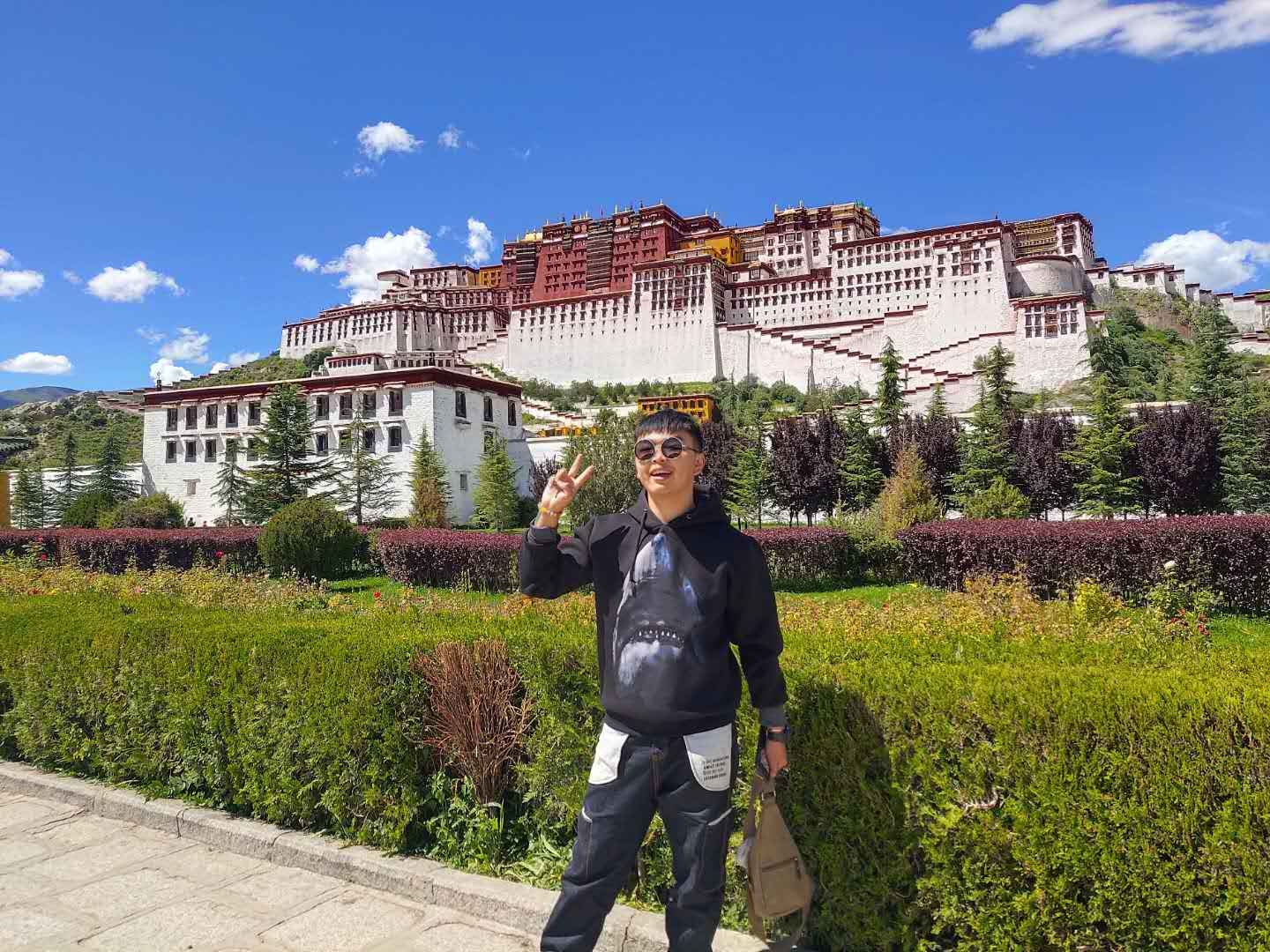 松江家教老师