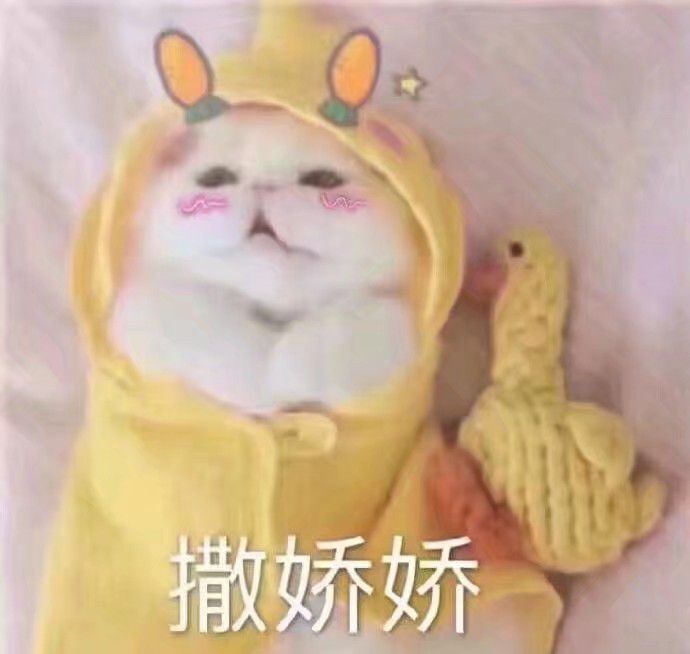 徐汇家教老师