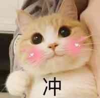 上海家教老师