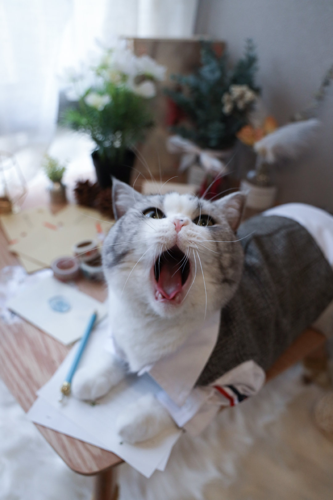 青浦家教老师
