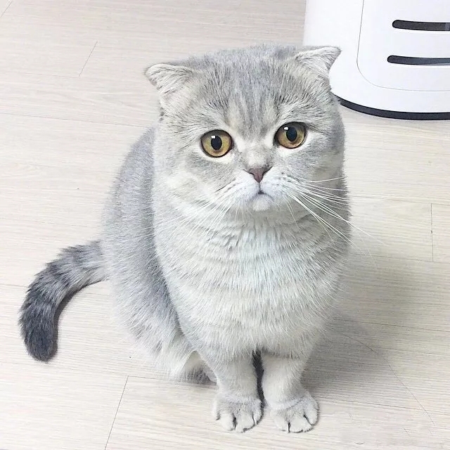 上海家教老师