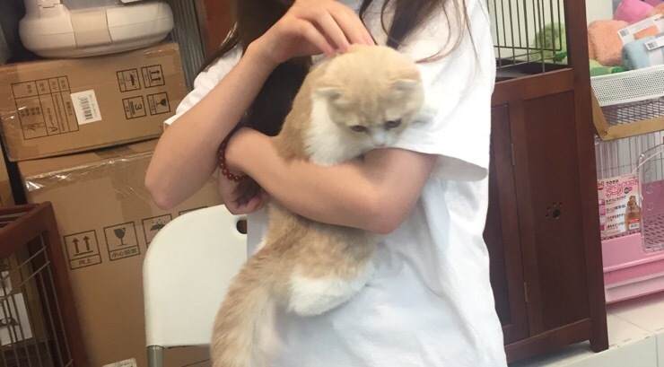 上海家教老师