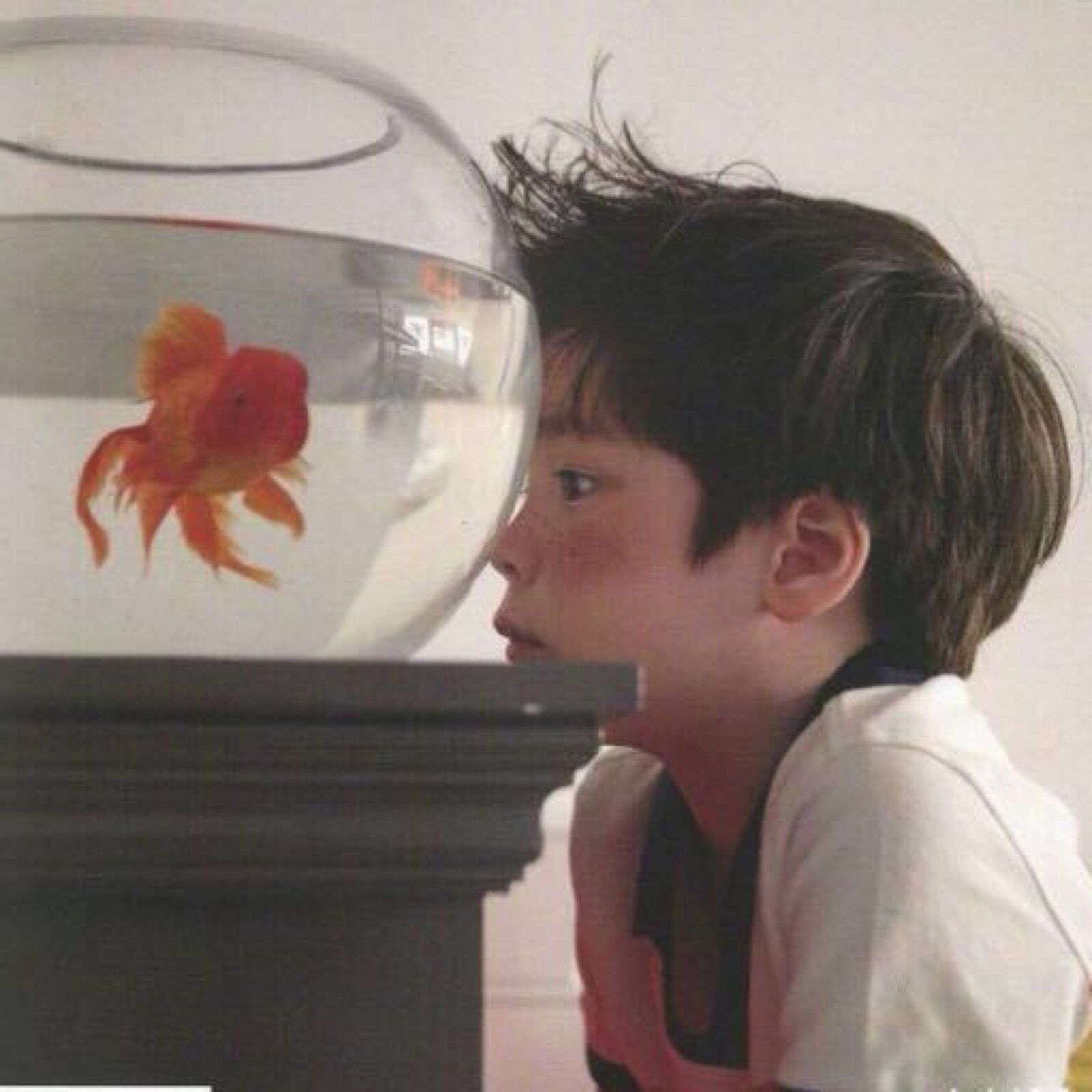 上海家教老师
