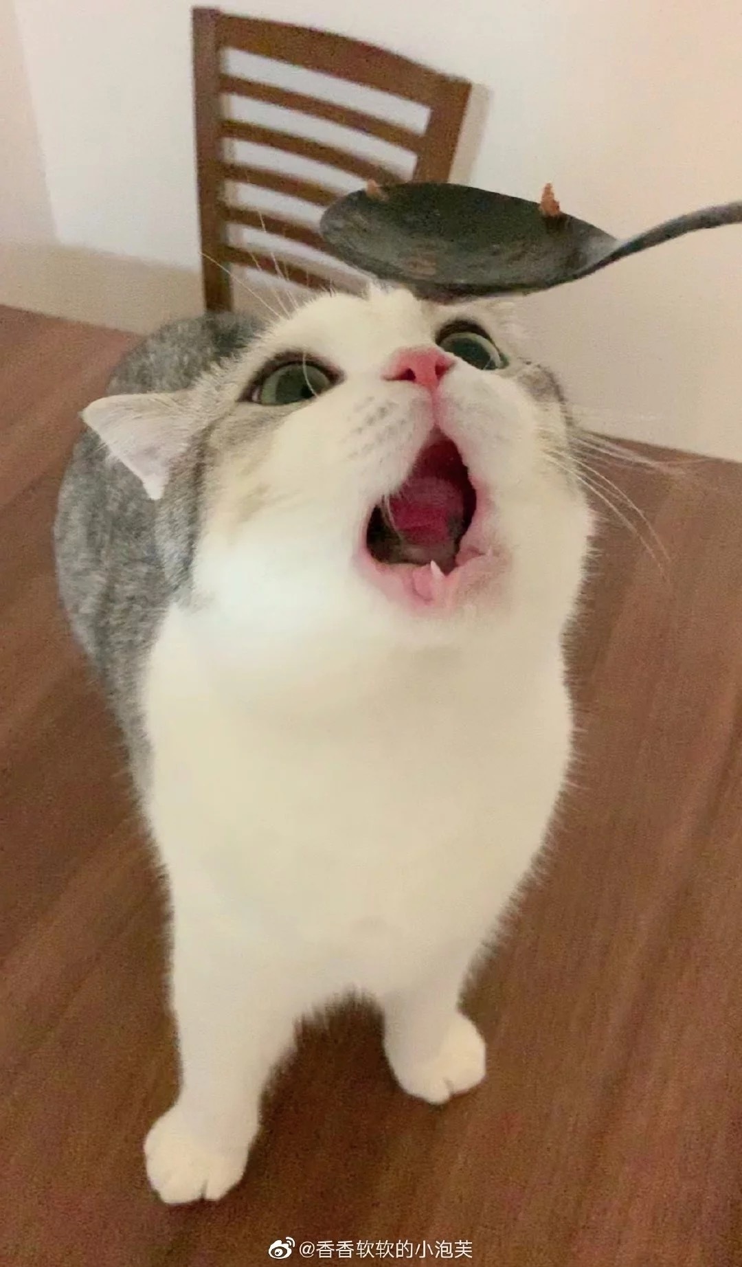 奉贤家教老师