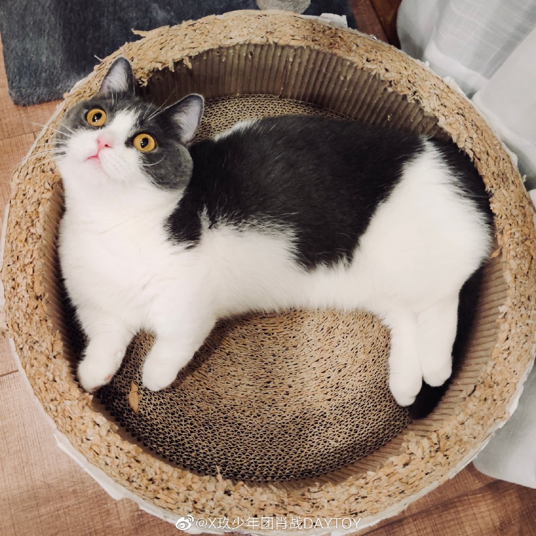 黄浦家教赵老师