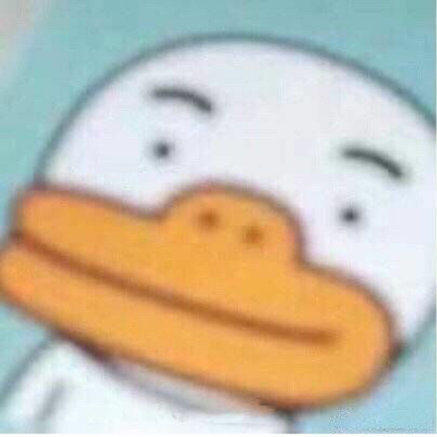 普陀家教老师