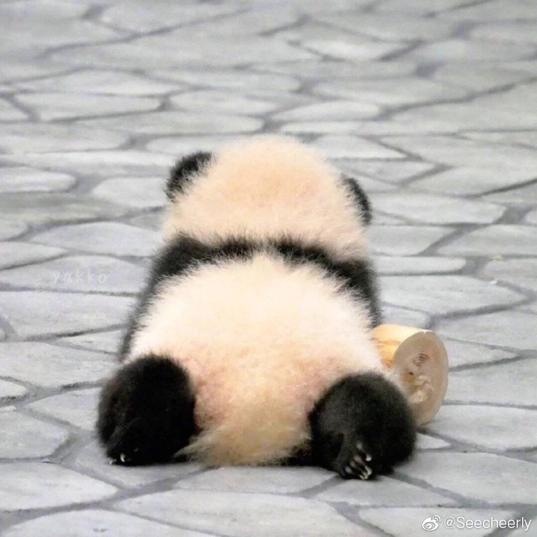 上海家教老师