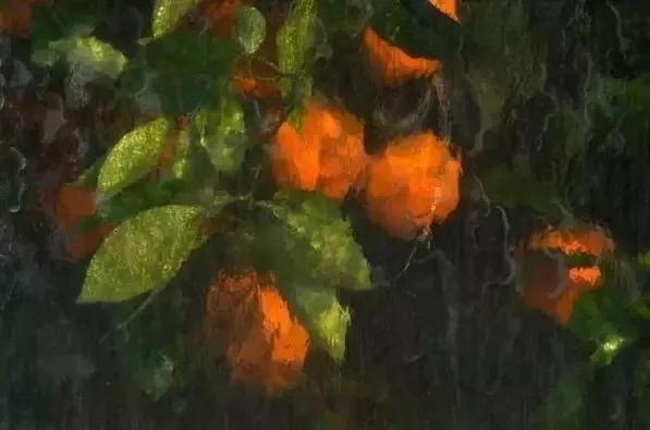 长宁家教老师
