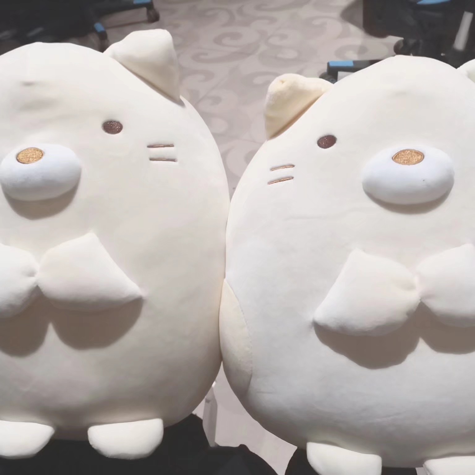 青浦家教彭老师