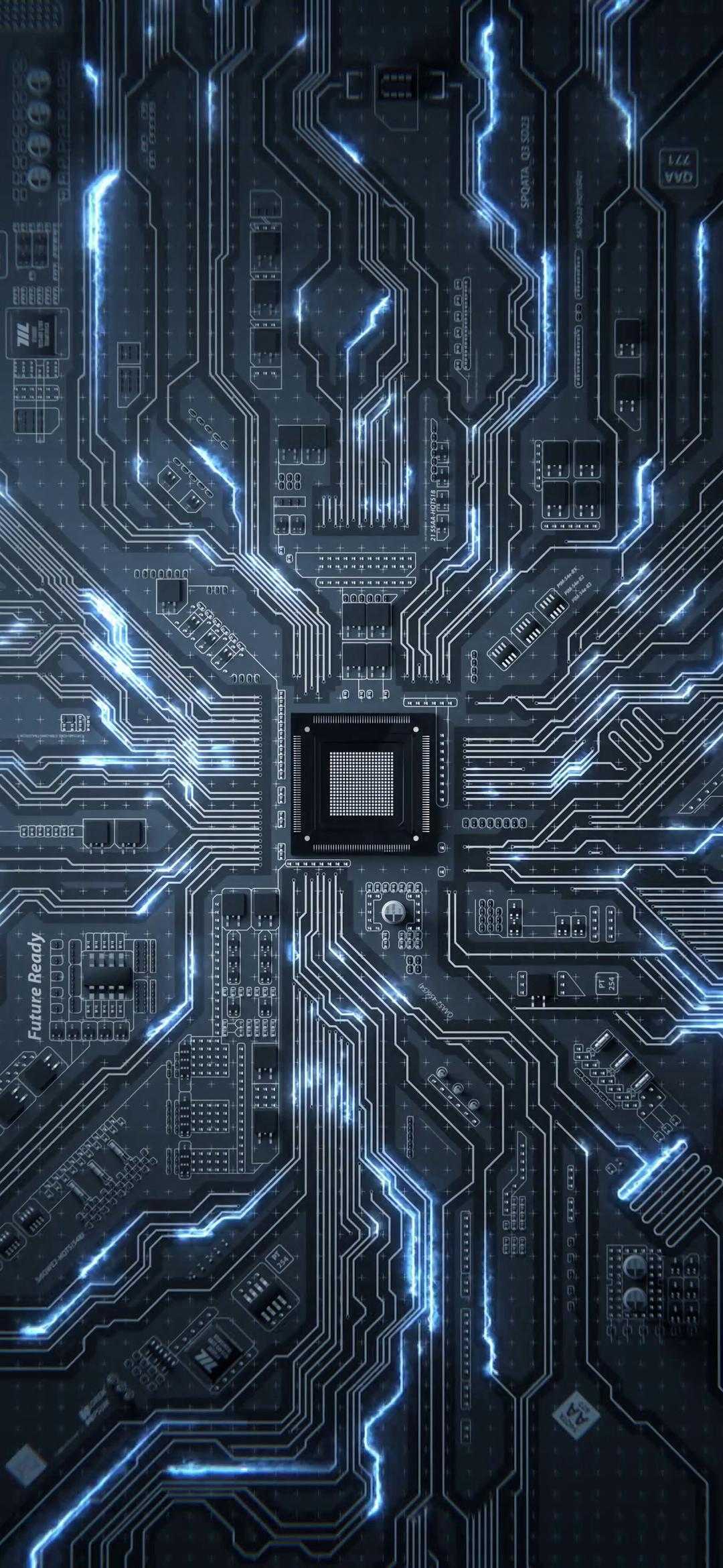 南汇家教老师