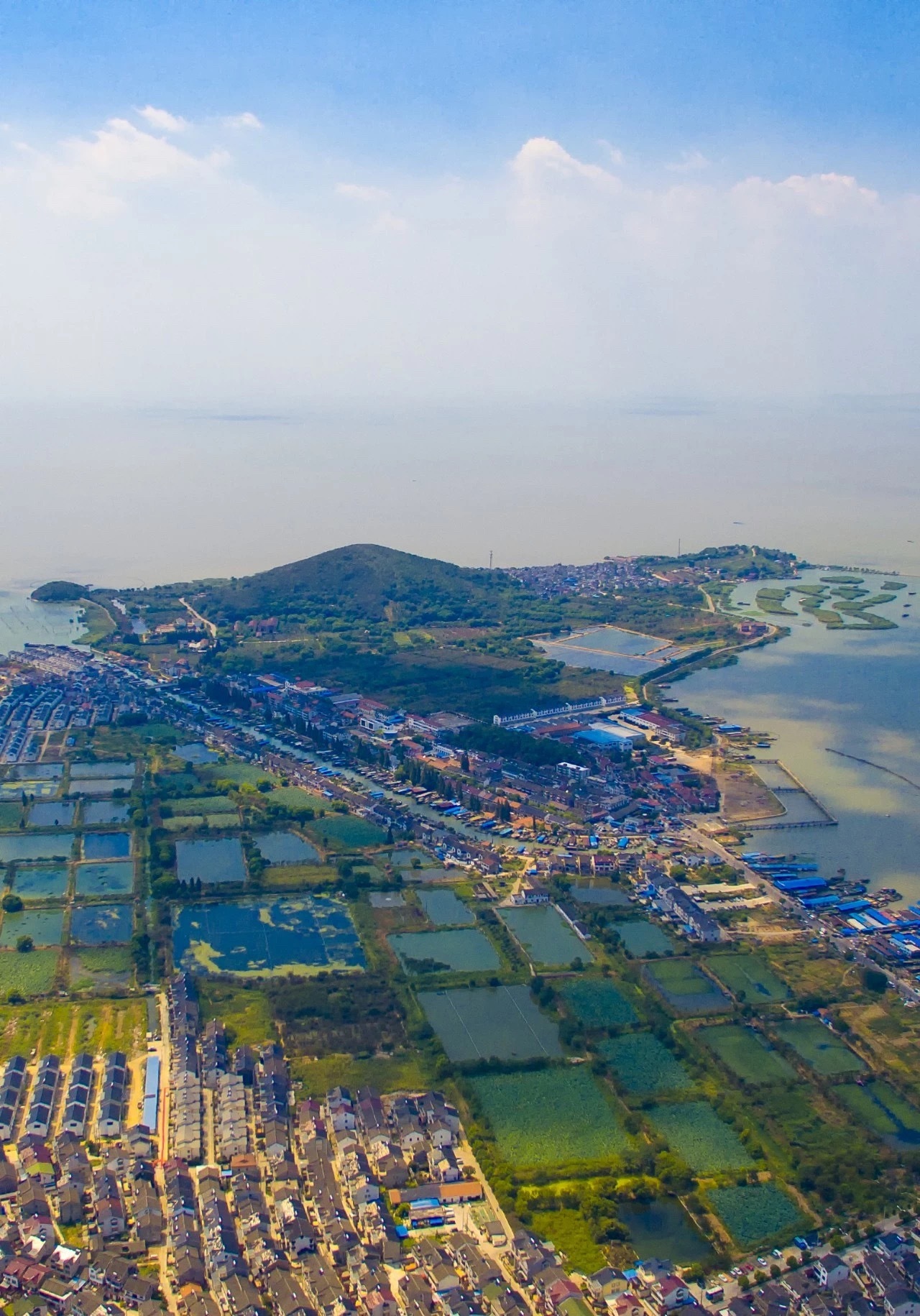金山家教老师