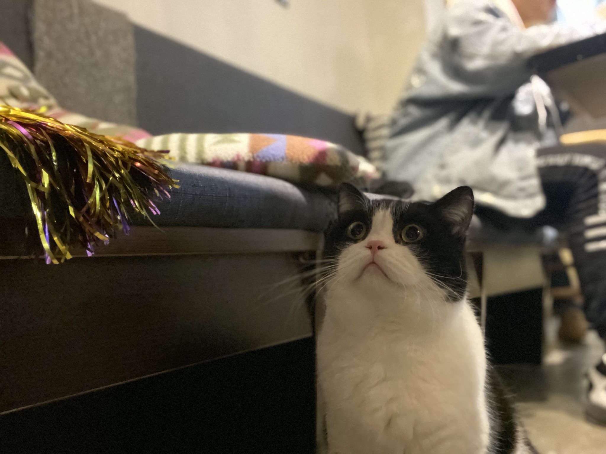 上海家教老师