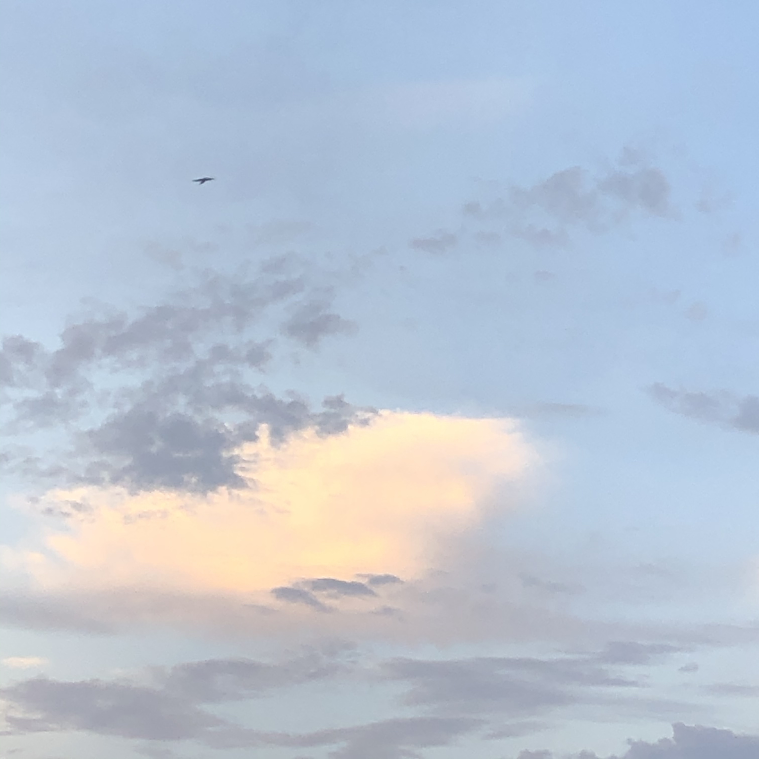 青浦家教老师