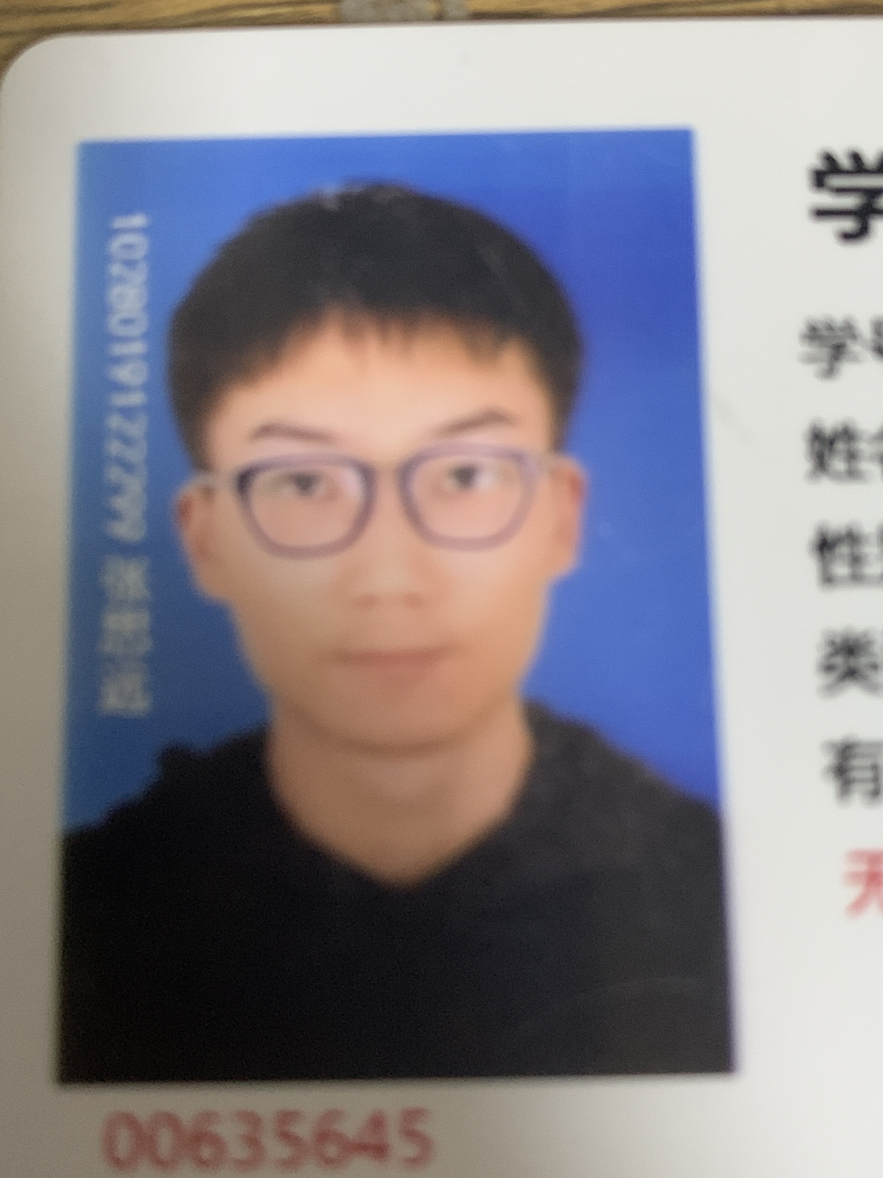 卢湾家教老师