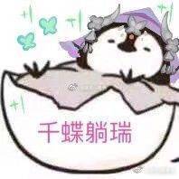 上海家教顾老师