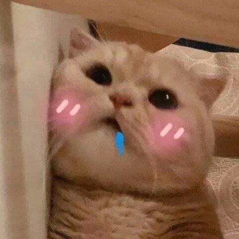 静安家教老师