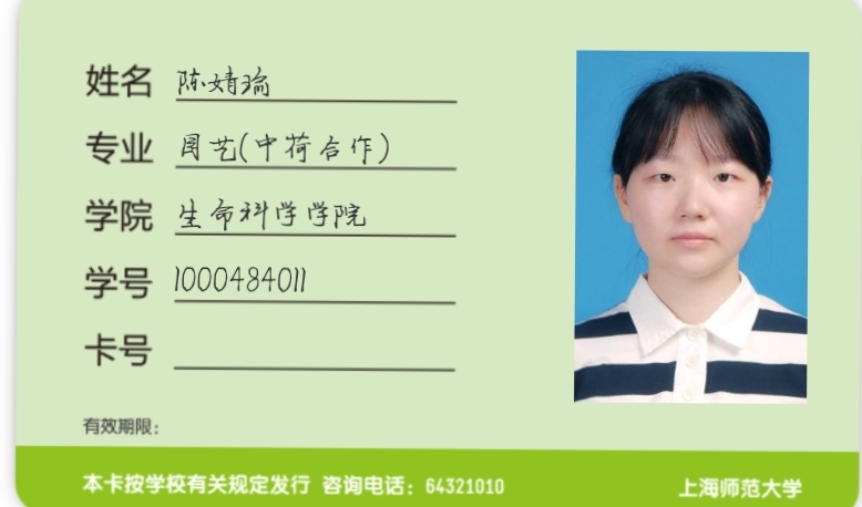 杨浦家教老师