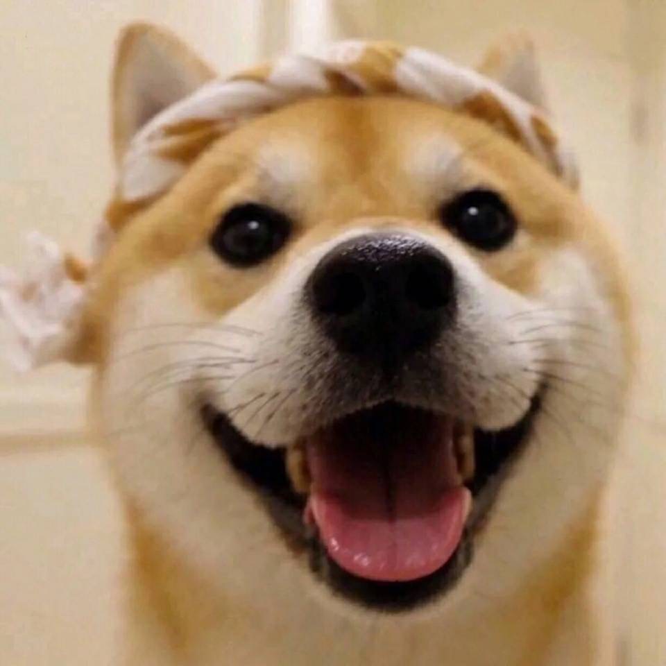 静安家教老师