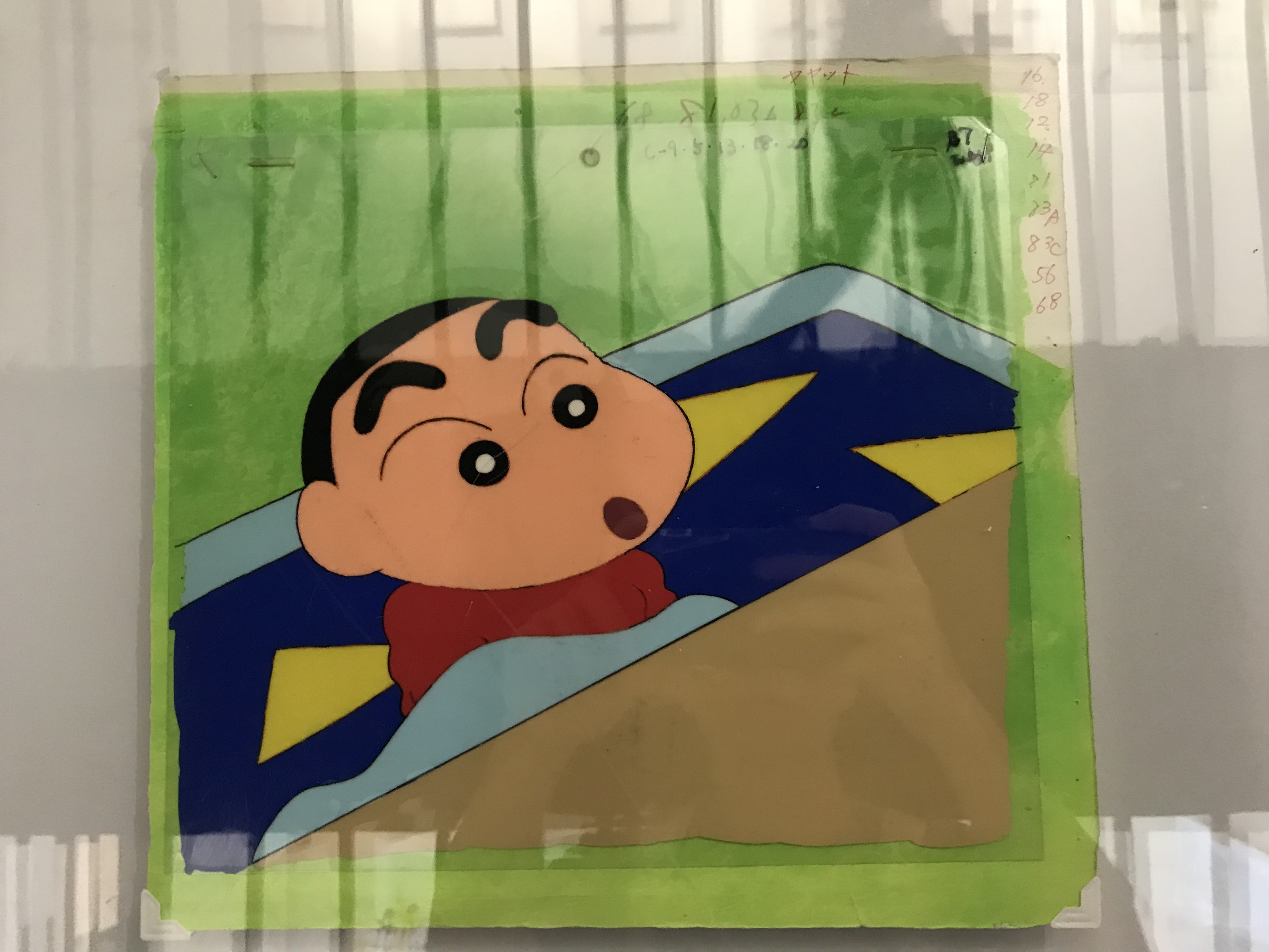 闸北家教王老师