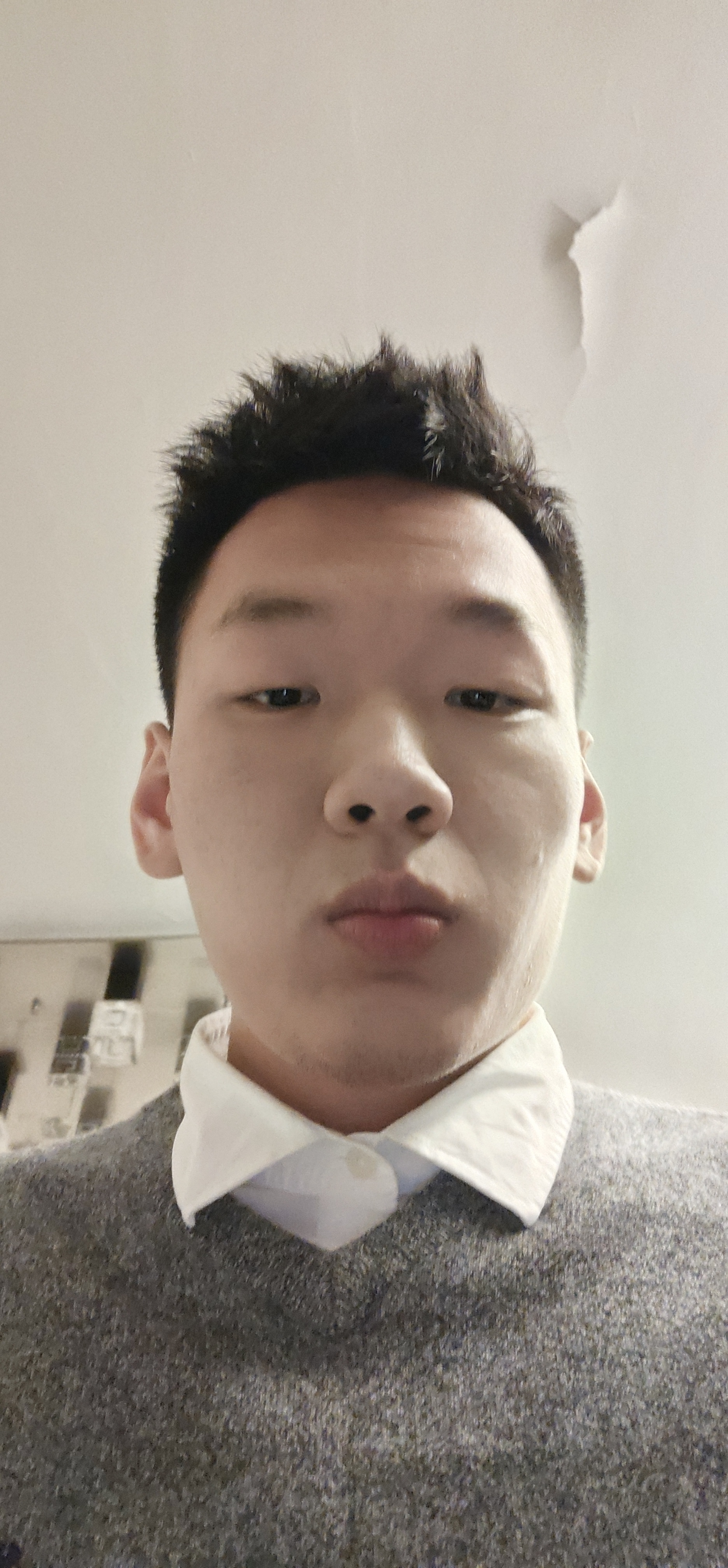 普陀家教陆老师