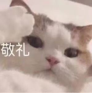 南汇家教老师