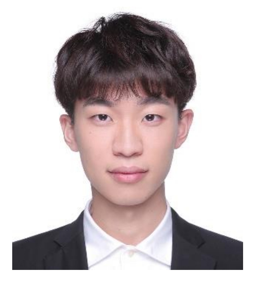 卢湾家教老师