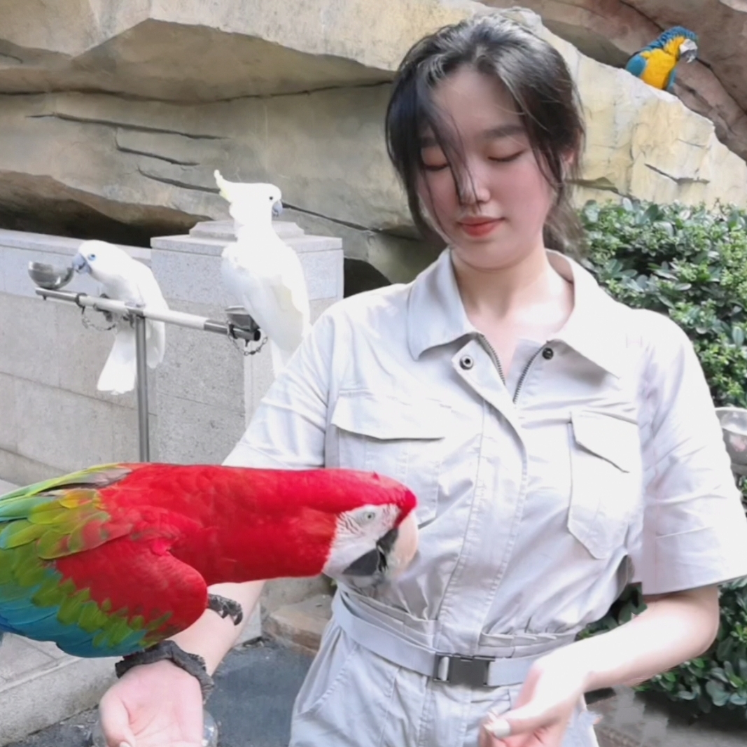 普陀家教老师