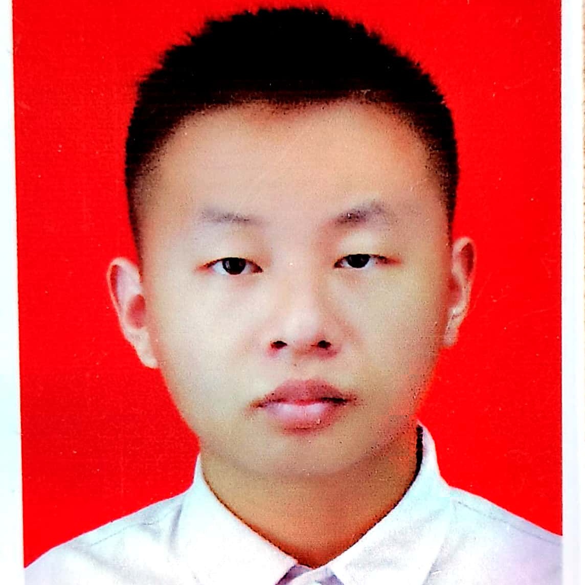卢湾家教老师