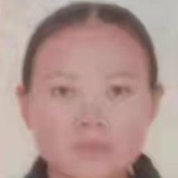 闸北家教老师