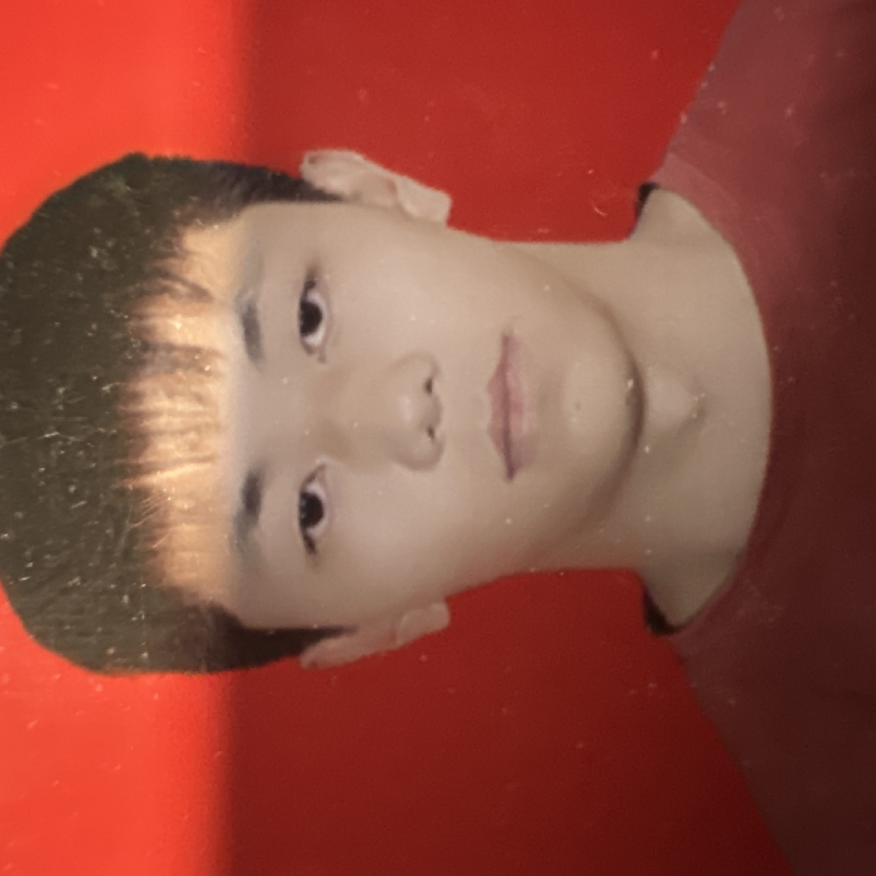 黄浦家教洛老师