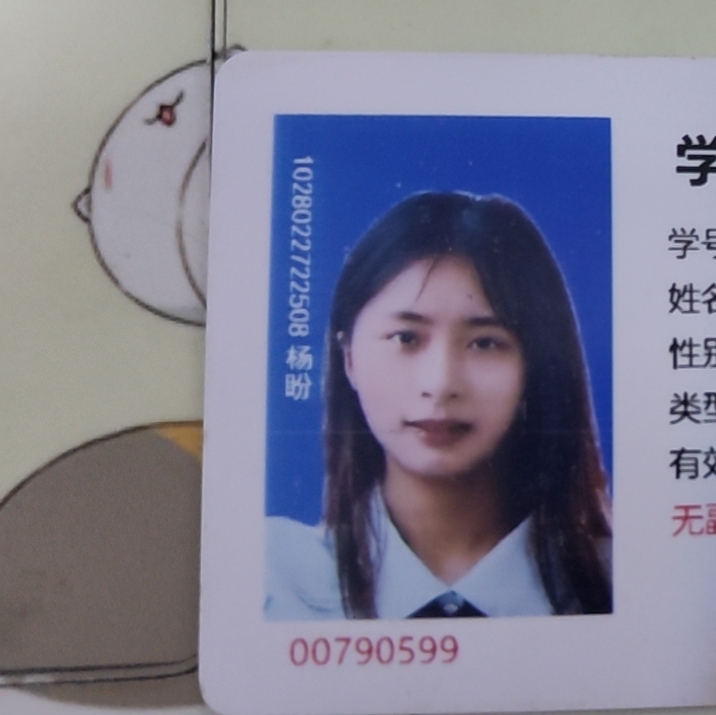 宝山家教老师