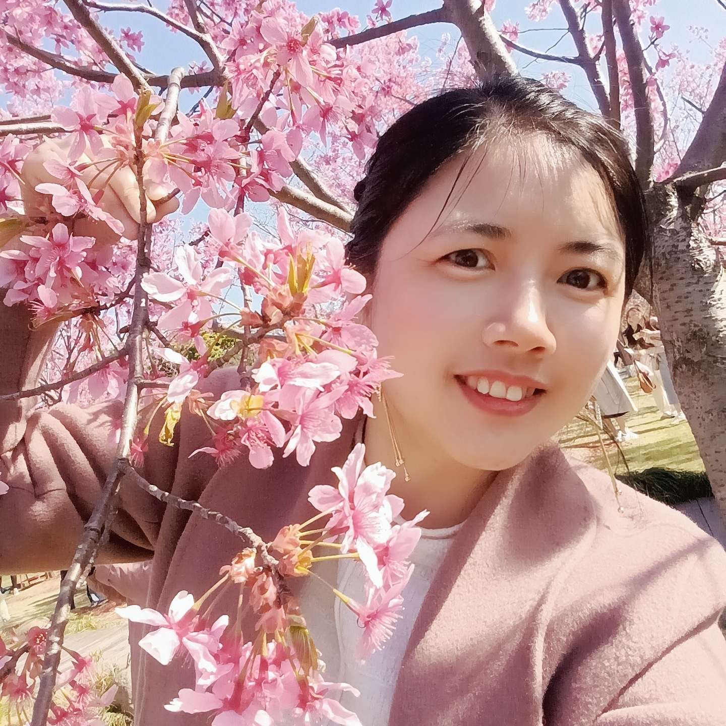 普陀家教老师