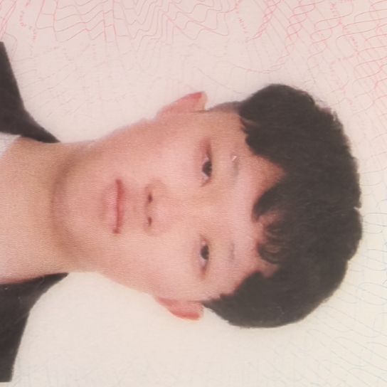 浦东家教老师