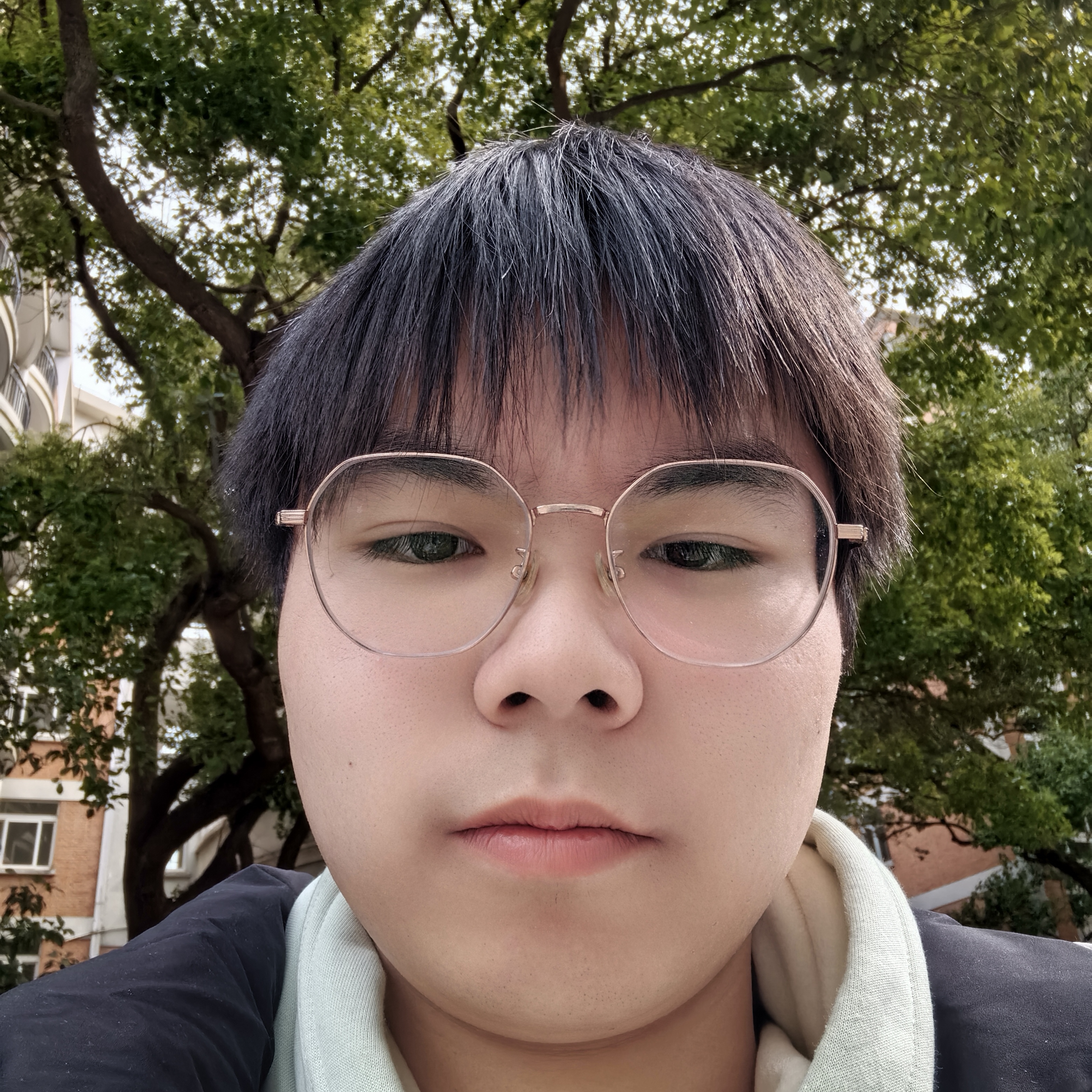 南汇家教陈老师